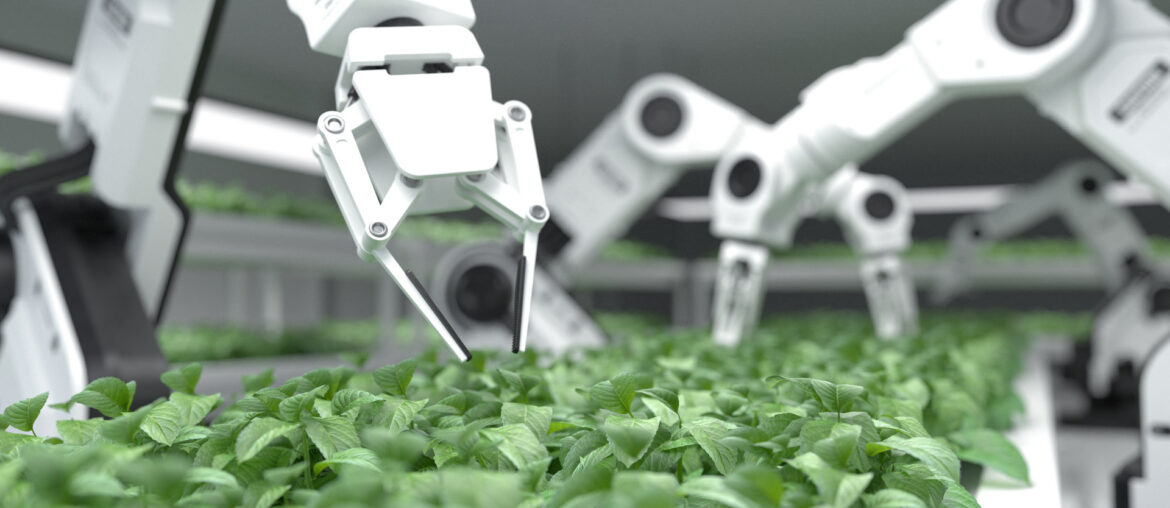 7 spannende Start-Ups Robotics Germany Agile Robots Robotise Fruitcore Robotics Wandelbots Aitme Enway